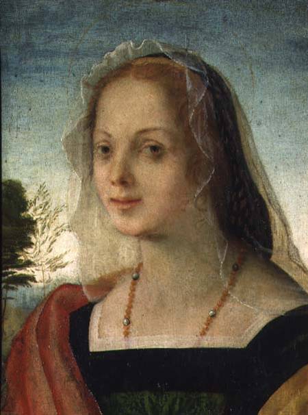 Rosso+Fiorentino-1495-1540 (5).jpg